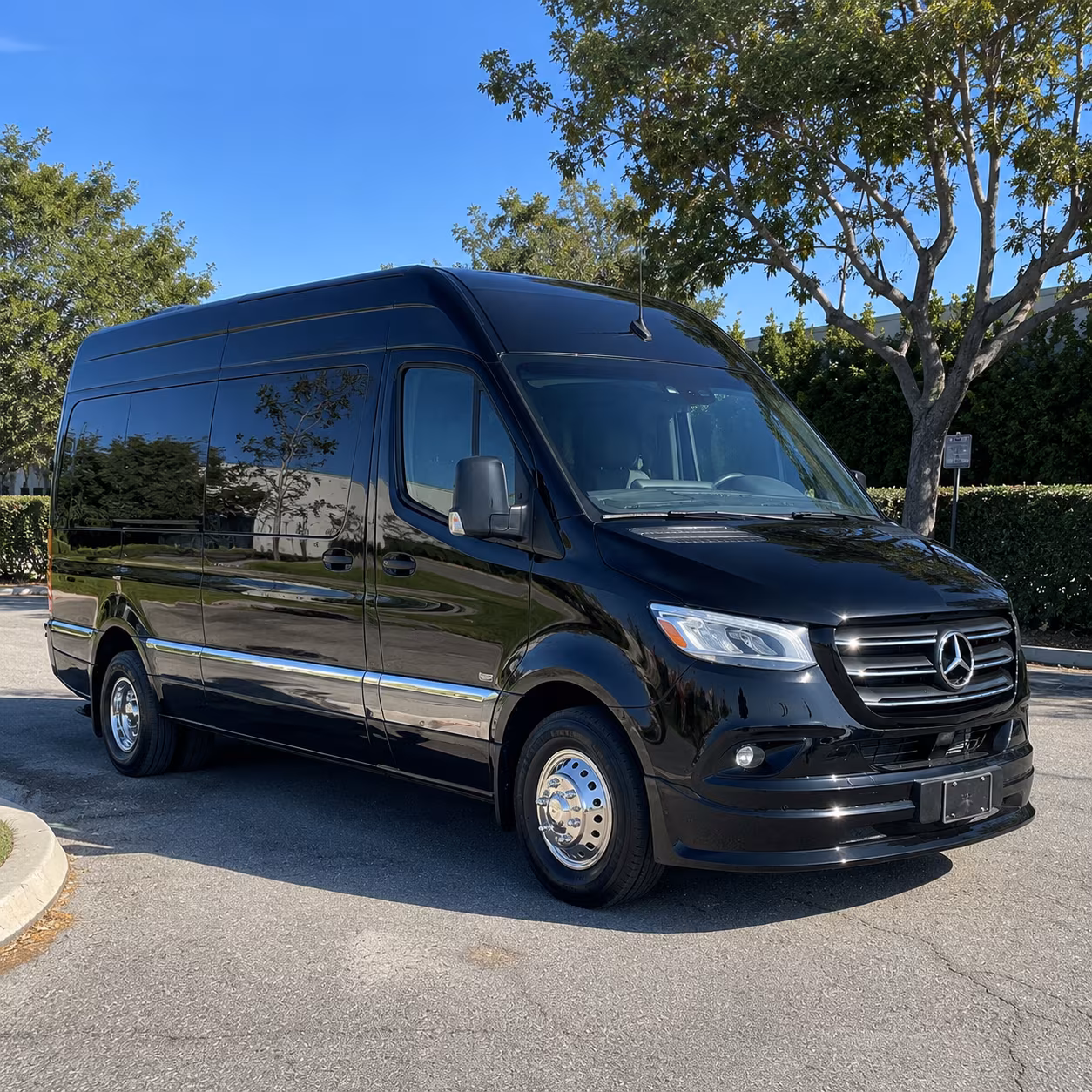 14 Passenger Sprinter Limo Exterior