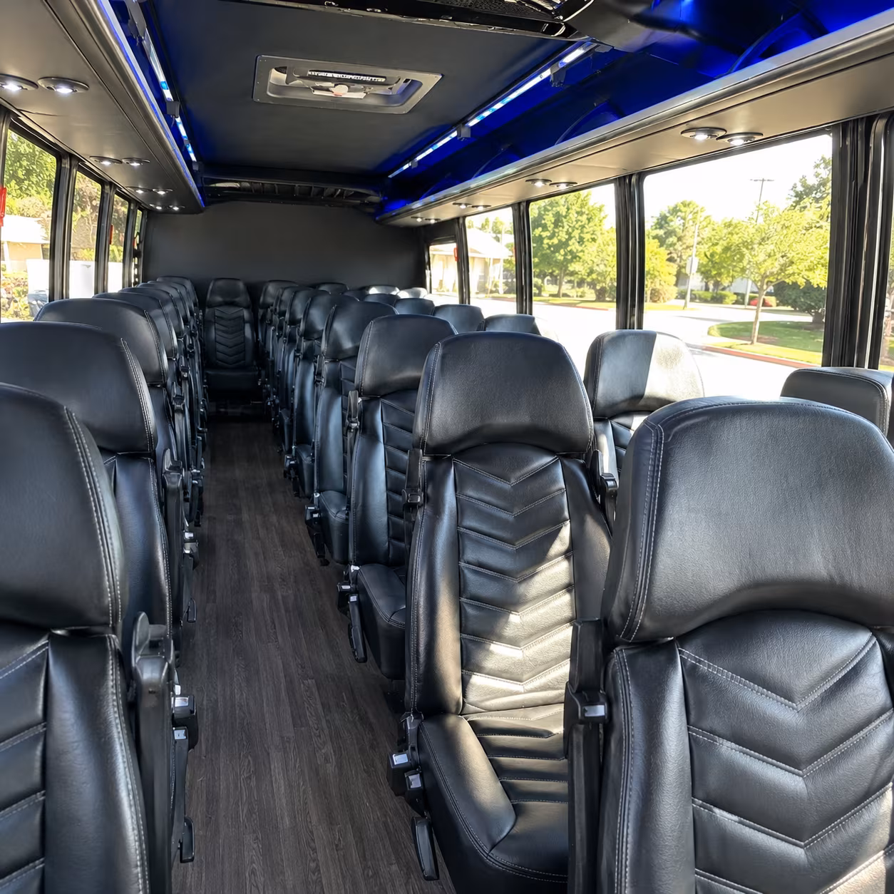 Tyler School Event Transportation party bus exterior