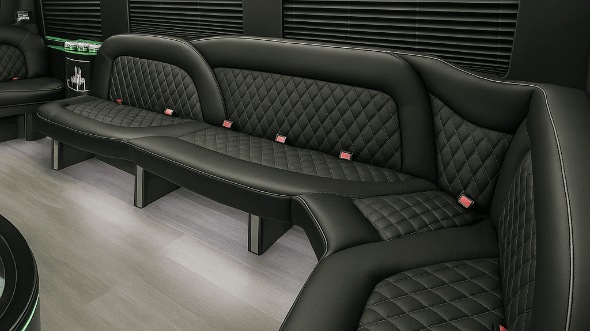 tyler 18 passenger party bus interior