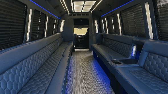 tyler 20 passenger party bus rental